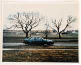 Buffalo 66 Photograph - Custom Color Print 19